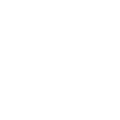 Inspection Icon